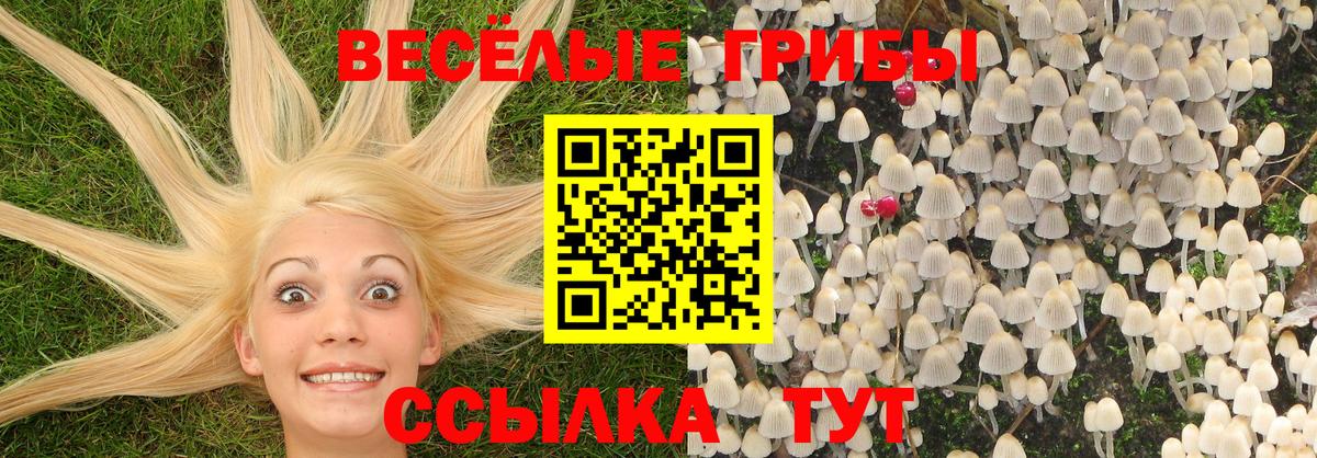 Псилоцибиновые грибы Cubensis  Вход с VPN  наркота  Псилоцибиновые грибы Cubensis  Обь 