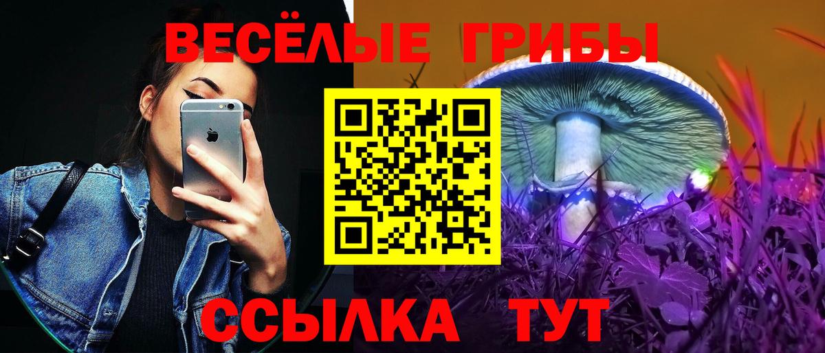 Галлюциногенные грибы GOLDEN TEACHER Обь