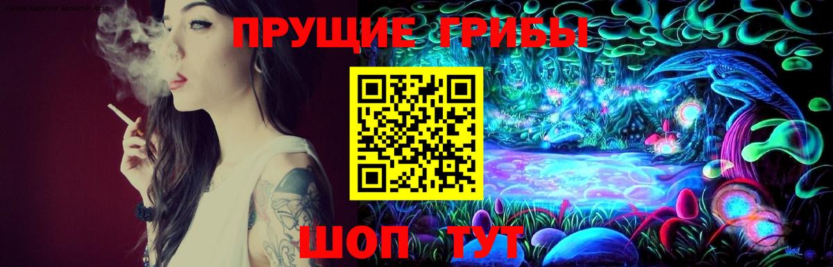 ГАШ Обь