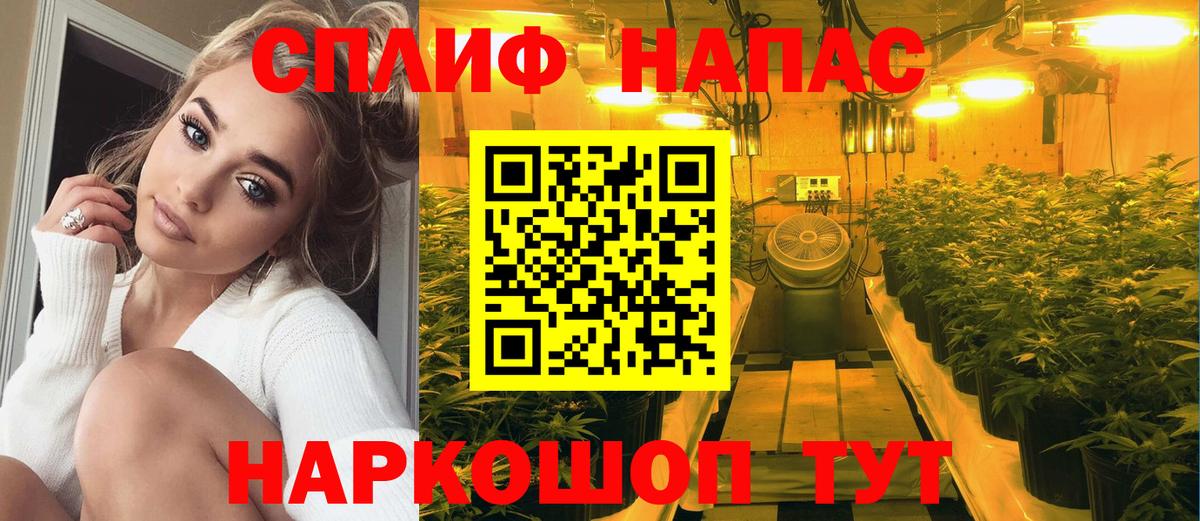 Бошки Шишки Bruce Banner  Шишки марихуана SATIVA & INDICA  Обь  МАРИХУАНА Ganja  Вход с VPN 